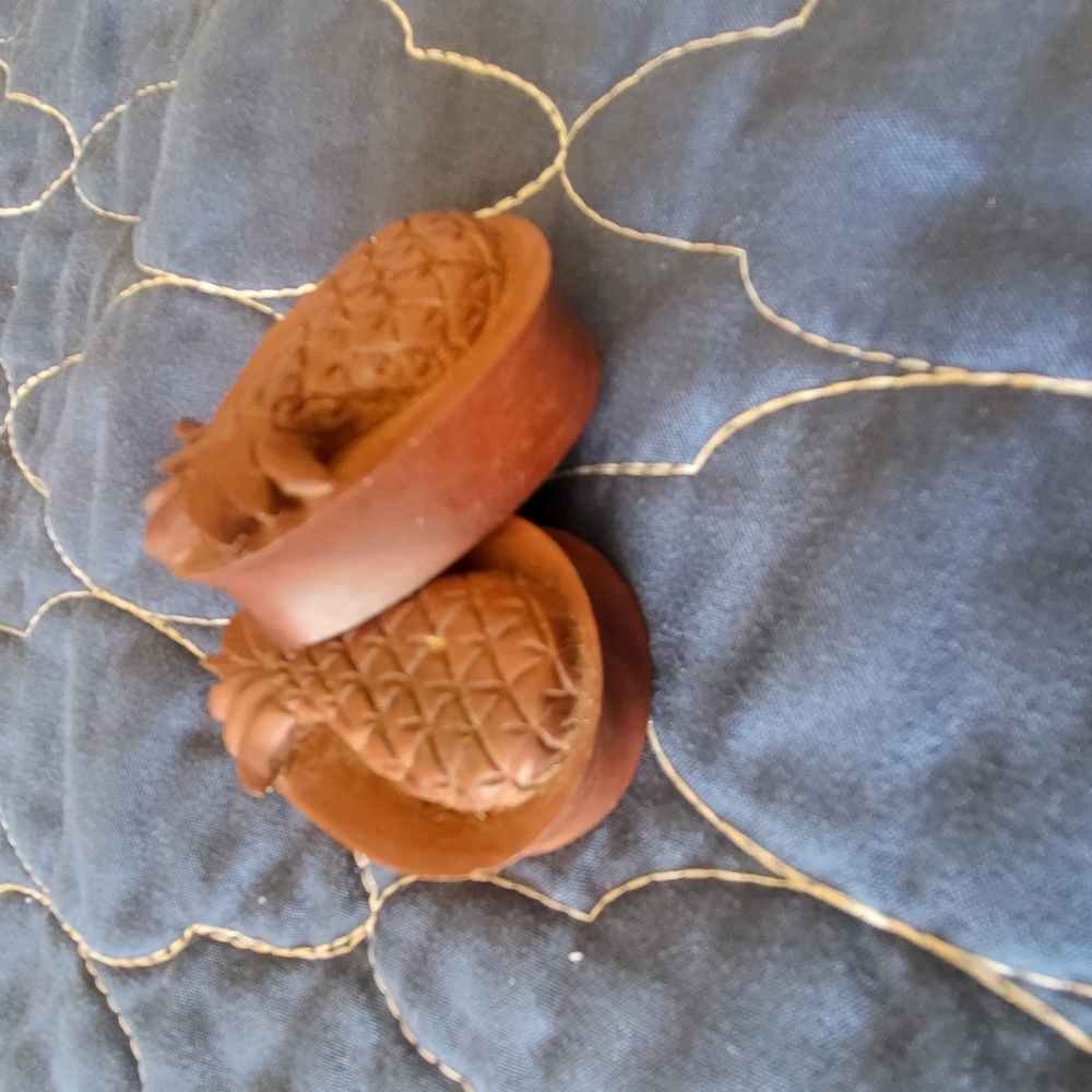 Ear Plugs